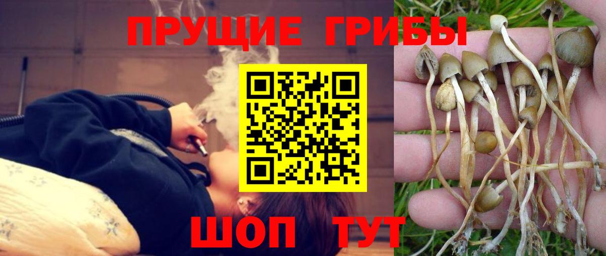 Галлюциногенные грибы Magic Shrooms  Вход с VPN  Щёлково 